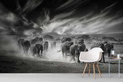 Papier Peint Photo Ciel, Poussière et Éléphants