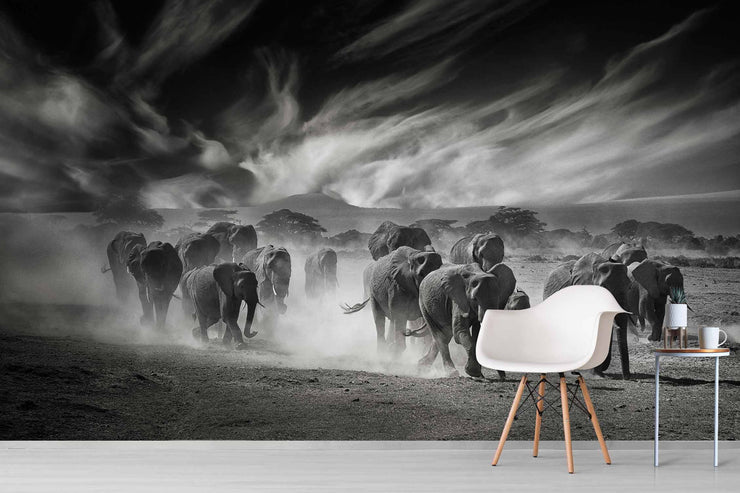 Papier Peint Photo Ciel, Poussière et Éléphants