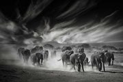 Papier Peint Photo Ciel, Poussière et Éléphants