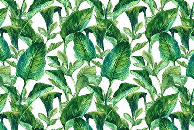 Papier Peint Feuilles Exotiques Aquarelle