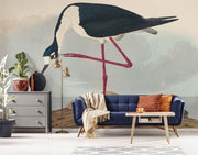 Long Legged Avocet Wall Mural