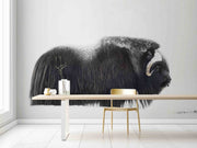 Photo Wallpaper Muskox