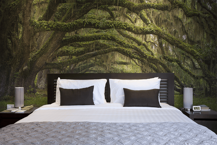 Oak Tree Forest Wall Mural-Landscapes & Nature-Eazywallz